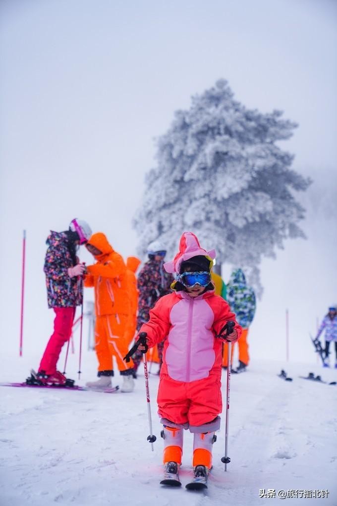 宜春行｜明月山冬日欢乐季滑最野的雪泡最爽的温泉